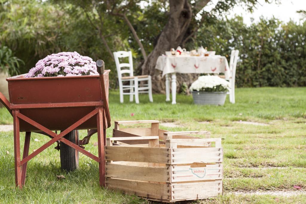 Masseria Ciancio Casa Serrafiori 外观 照片